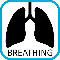 Calm Cube Comfort Icon Breathing