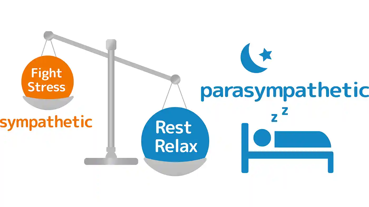 Calm Cube Comfort Parasympathetic Rest and Relax